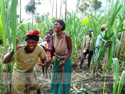 The Women in the Field in Uganda