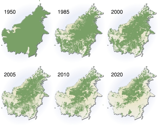 http://www.grida.no/graphicslib/detail/extent-of-deforestation-in-borneo-1950-2005-and-projection-towards-2020_119c
