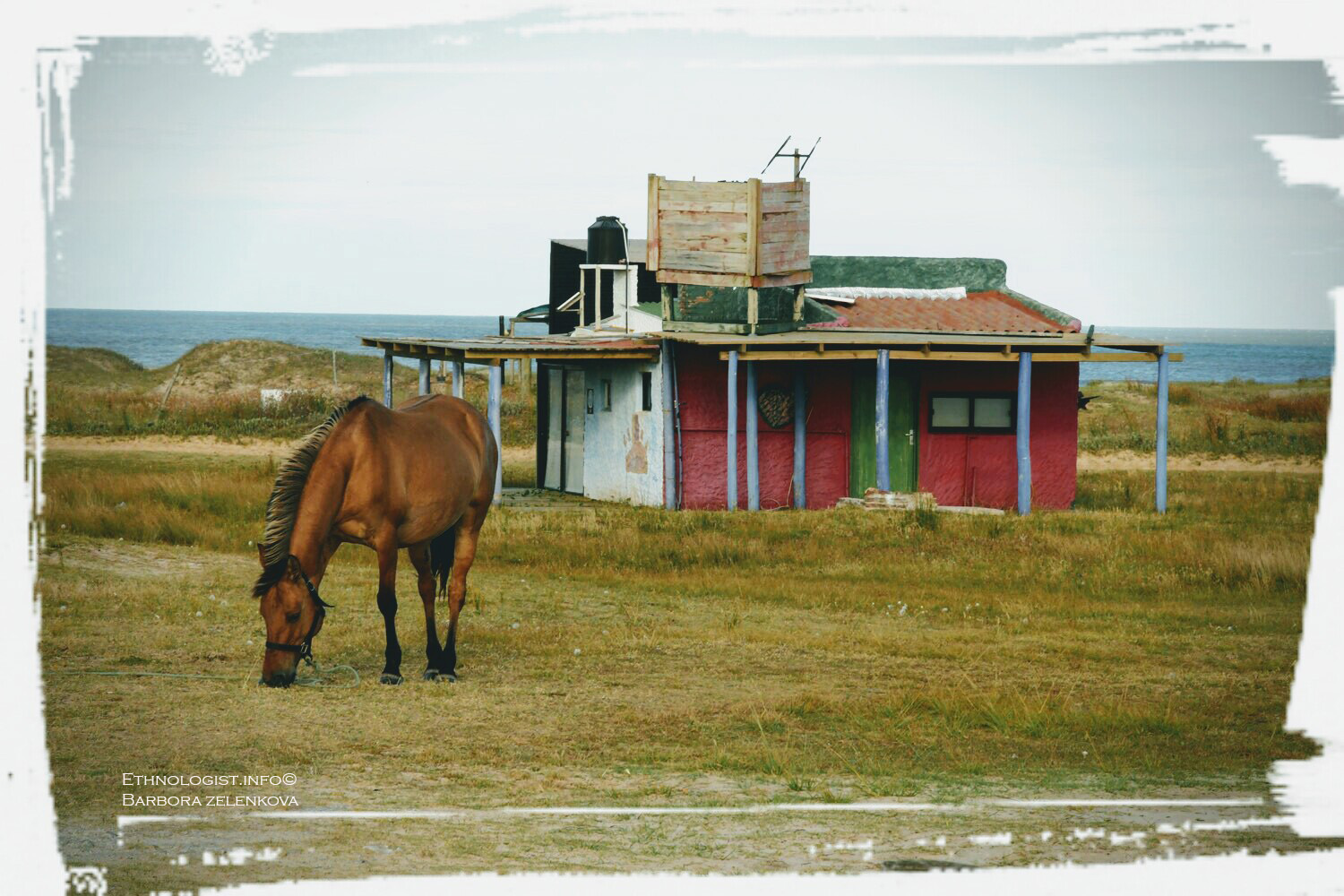 Pohled na "rancho del Cabo" v osadě Cabo Polonio. Foto: Barbora Zelenková, Prosinec 2016.