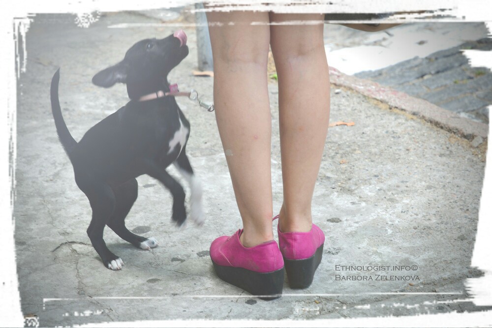 Girl with a small dog in platform shoes, which are also very popular in Uruguay. Photo: Barbora Zelenková, December, 2016.