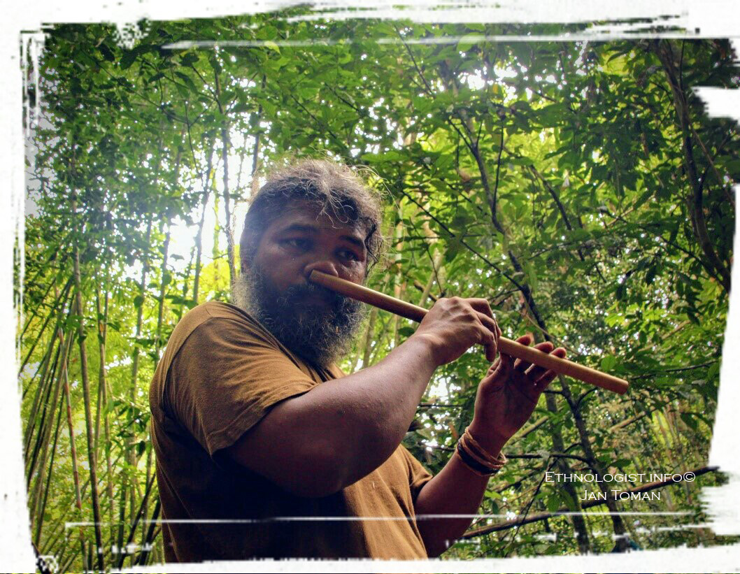 Domorodý průvodce Orang Asli při hraní na tradiční flétnu „bensol“ v pralese. Foto: Jan Toman